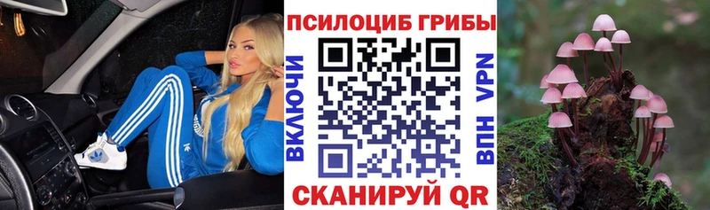 даркнет сайт Семёнов Галлюциногенные грибы Psilocybine cubensis